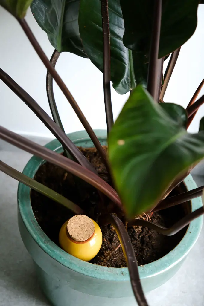 Copie de 2DSCF1280.webp