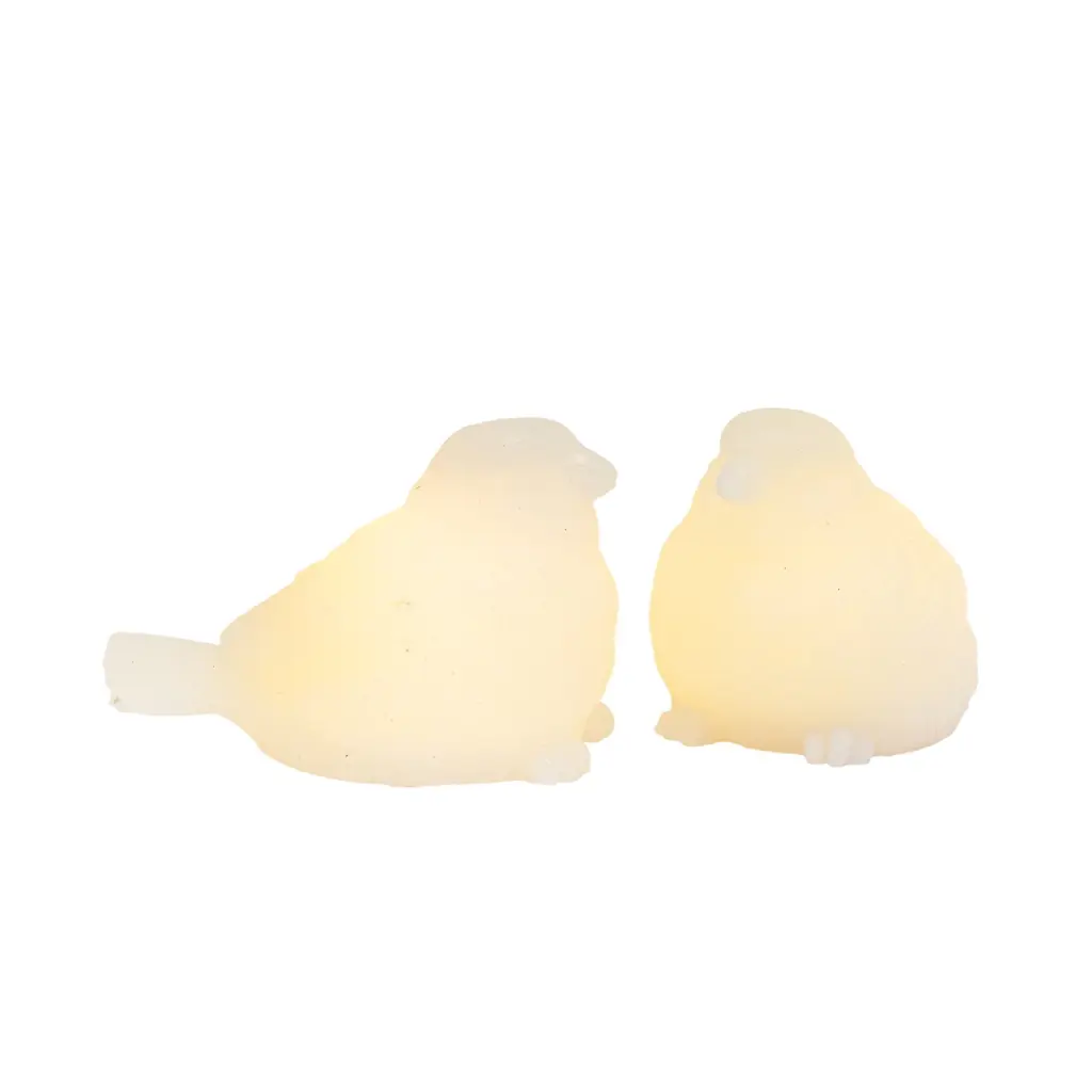 Moineaux lumineux packshot.webp