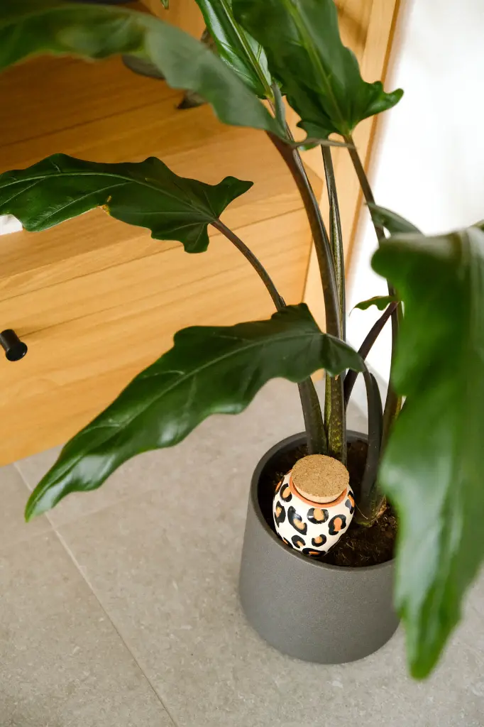 Copie de 2DSCF1276.webp