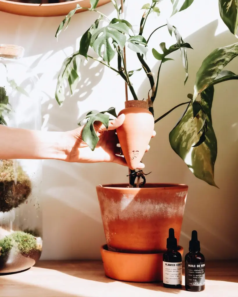 20220626-2 17.36.41.webp