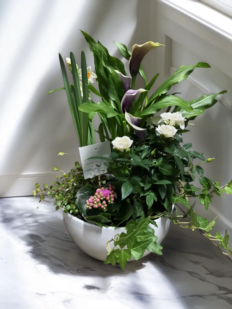 Compo plantée 80e.webp