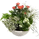 IMG_4283.webp