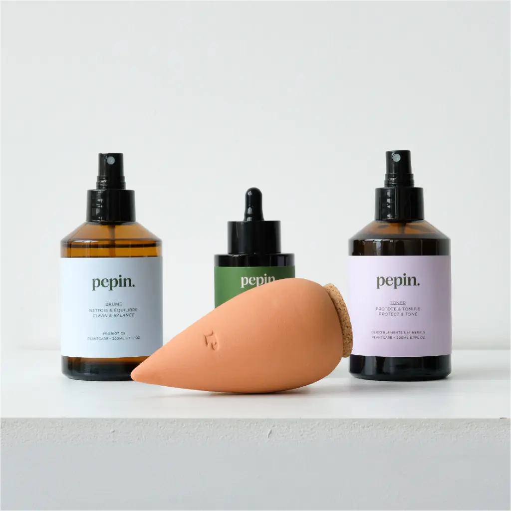 Routine plantcare 2.webp