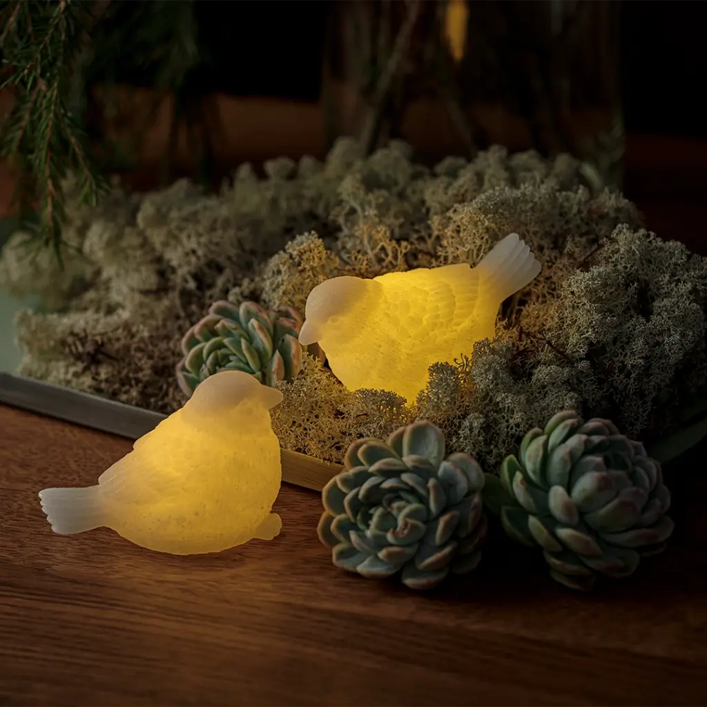 Set de 2 moineaux lumineux