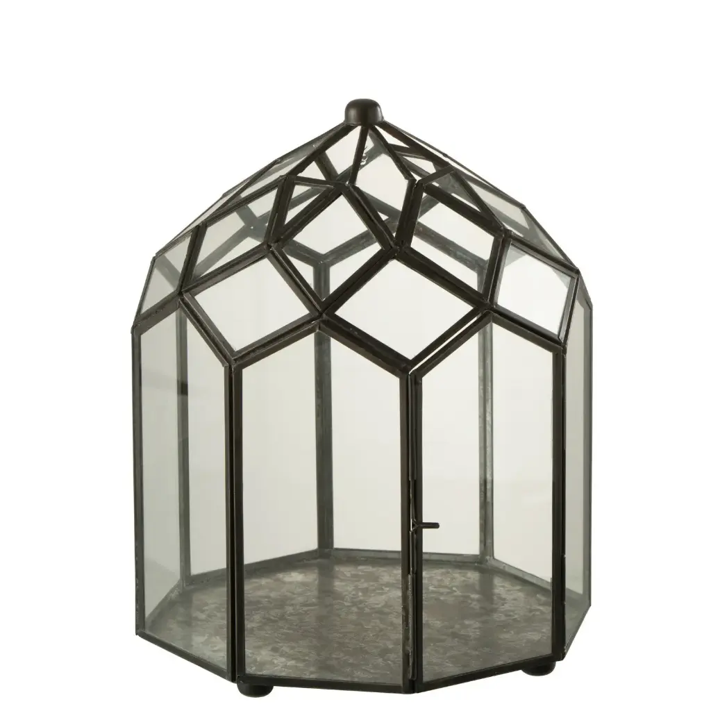 Terrarium, Mini serre