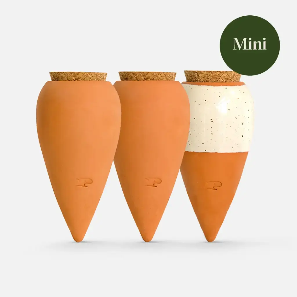 [OLL-MINI-TRIO-RDRDWH] Trio Mini Olla - Les Iconiques