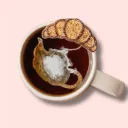 5 sachets Théière - Thé Noir Marmelade