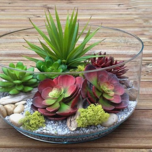 Atelier "Jardin d’intérieur" Mardi 21 Avril, 19h30